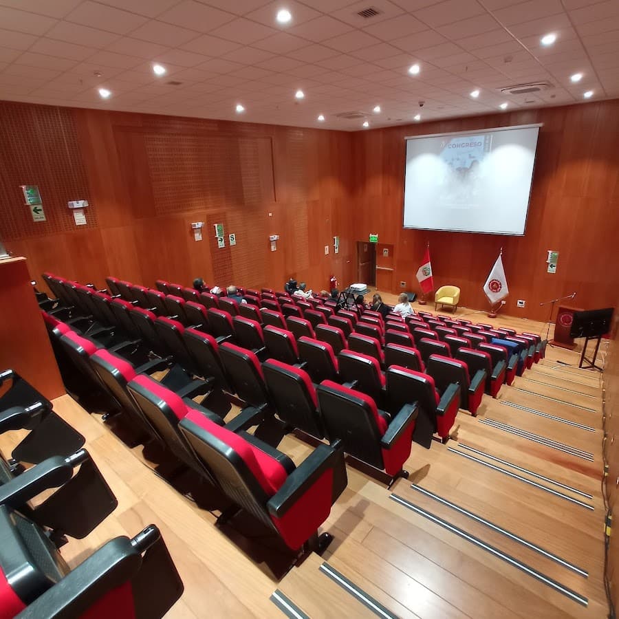 Colegio de Ingenieros del Perú - CD Lima
