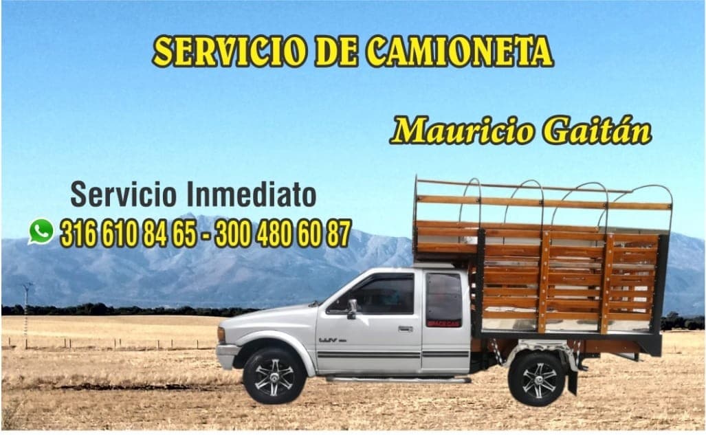Acarreos y Mudanzas en Neiva — foto