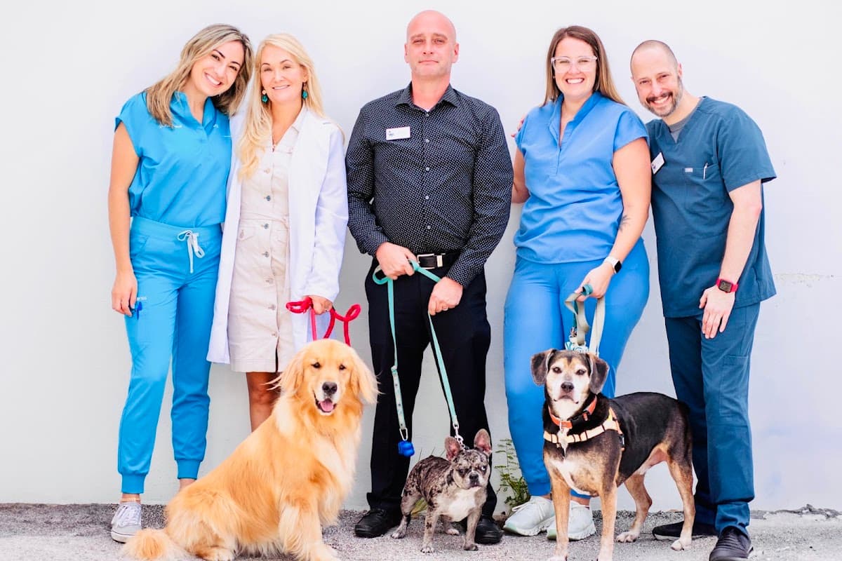 Bayview Animal Hospital