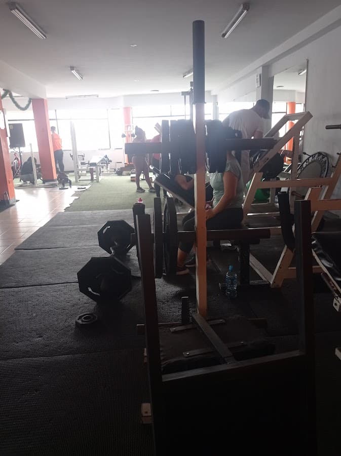 Fitness Evolution Gym