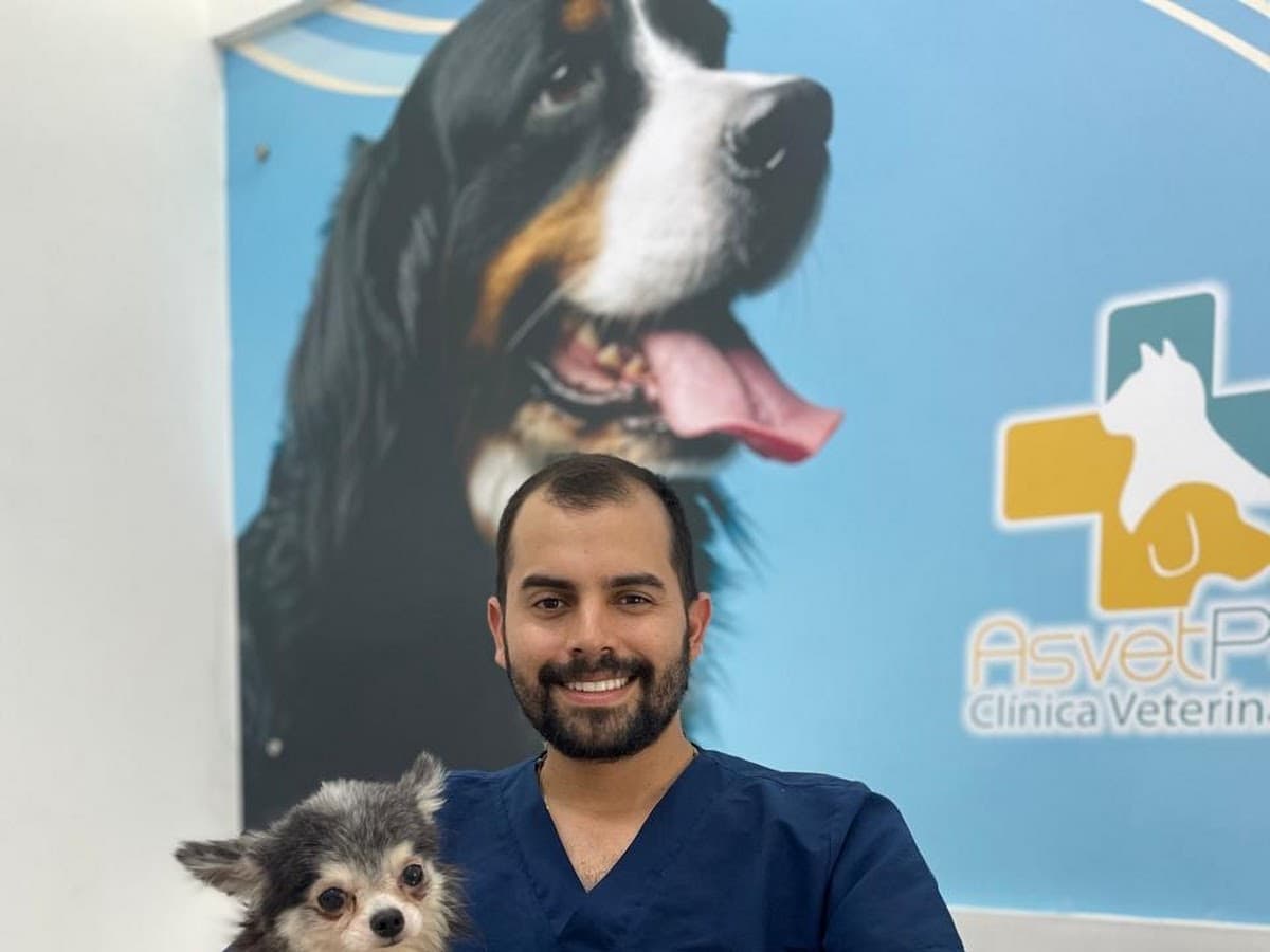 Vida Animal Clínica Veterinaria — foto