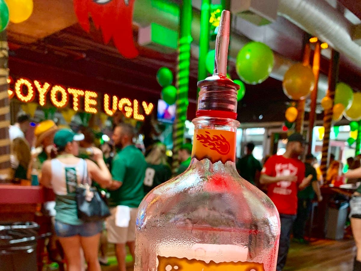 Coyote Ugly Saloon — foto