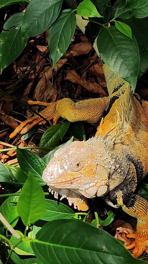 Eco Parque Lago De Las Garzas — foto