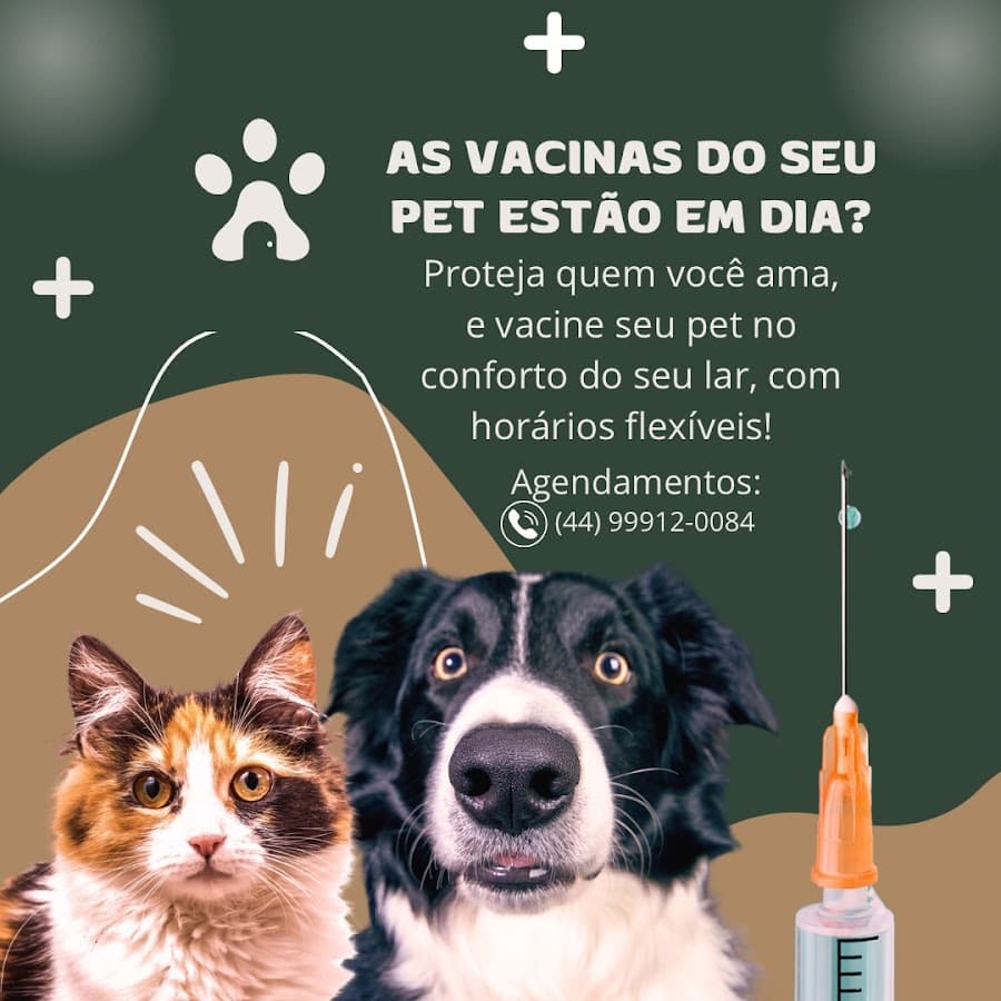 Veterinária a domicilio Dra. Victória Lima | Itapema — foto