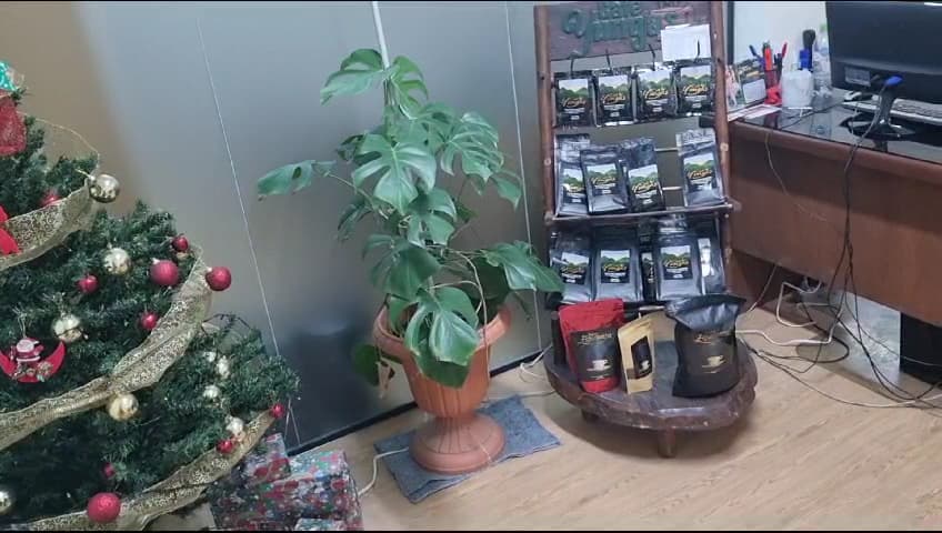 Consultora Contable & Jurídica - Viva Bolivia Productos y Servicios SRL — foto