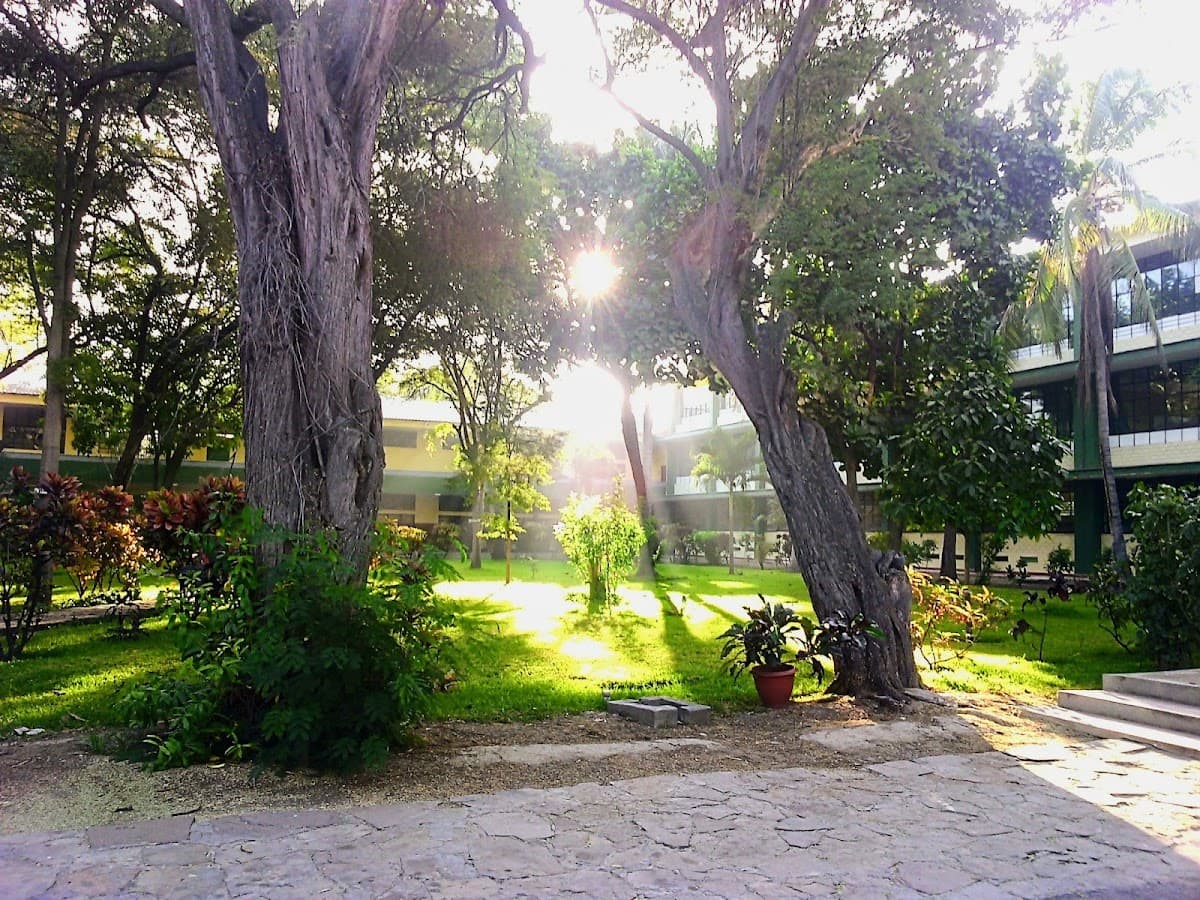 San Luis Gonzaga — foto