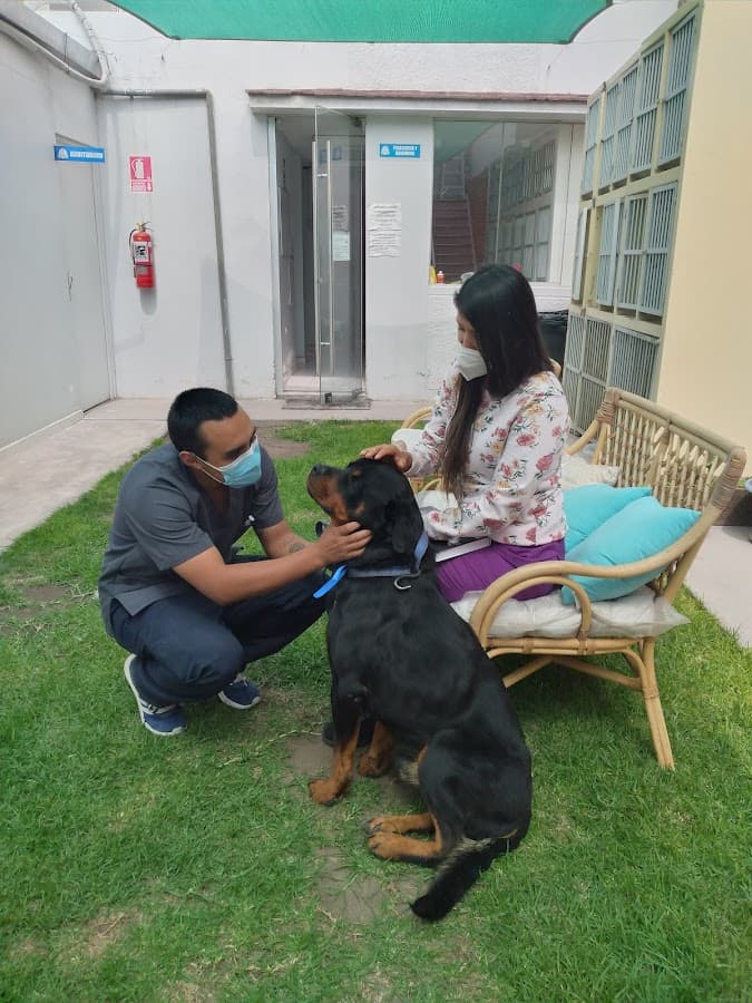 HOSPITAL DE MASCOTAS TERAN - SEDE PAUCARPATA