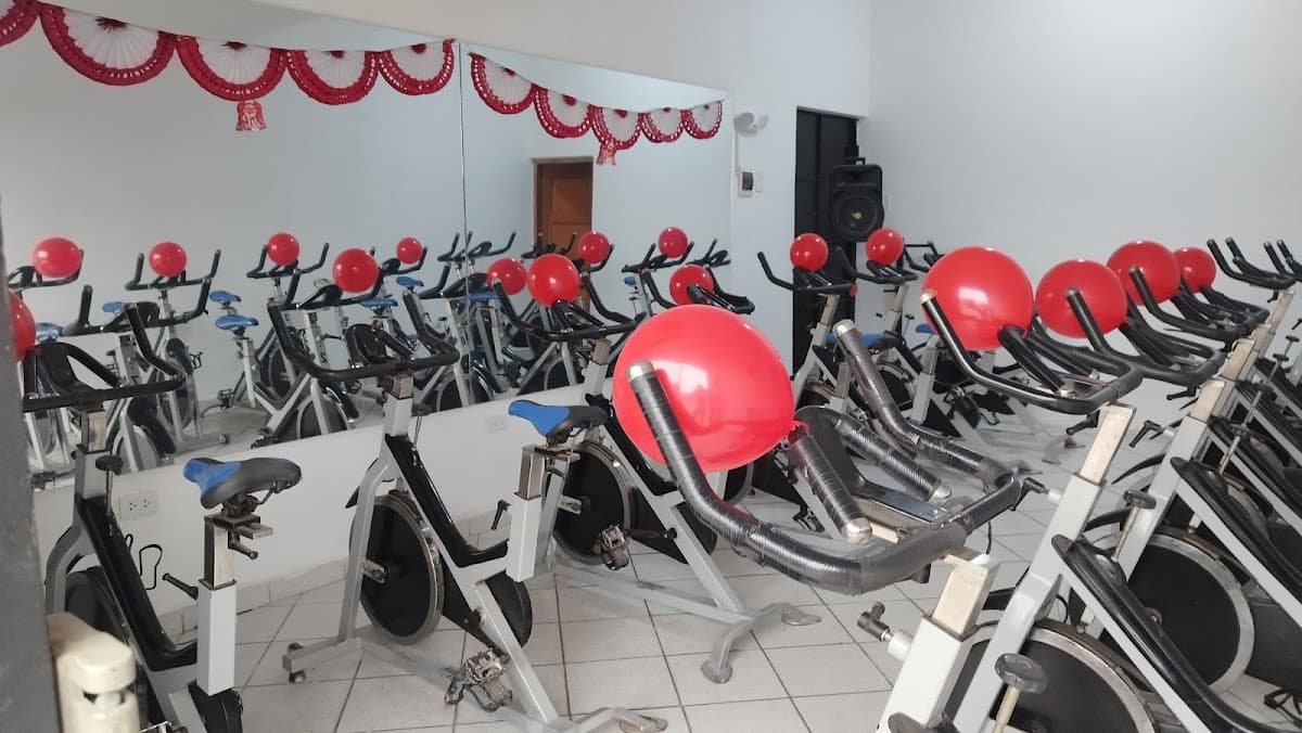 HAMMER GYM — foto