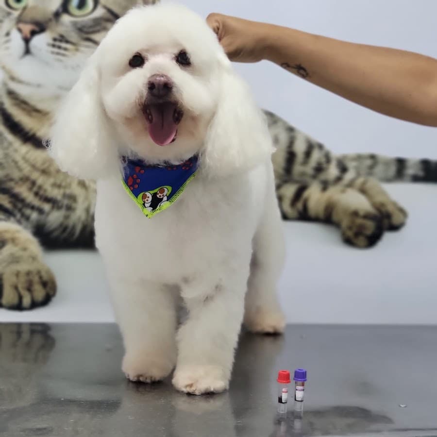 CENTRO VETERINARIO PROANIMALES — foto