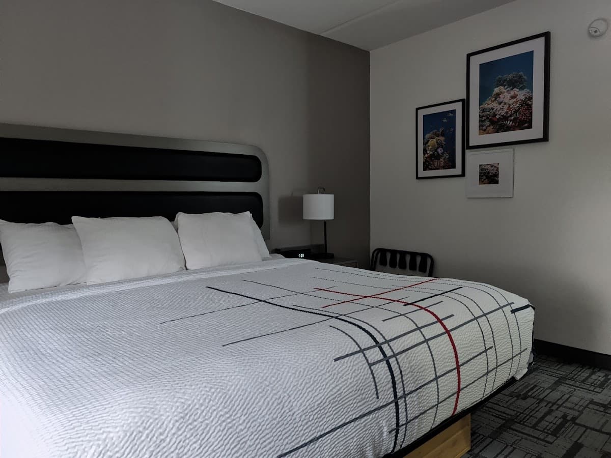 La Quinta Inn & Suites by Wyndham Jacksonville Mandarin — foto
