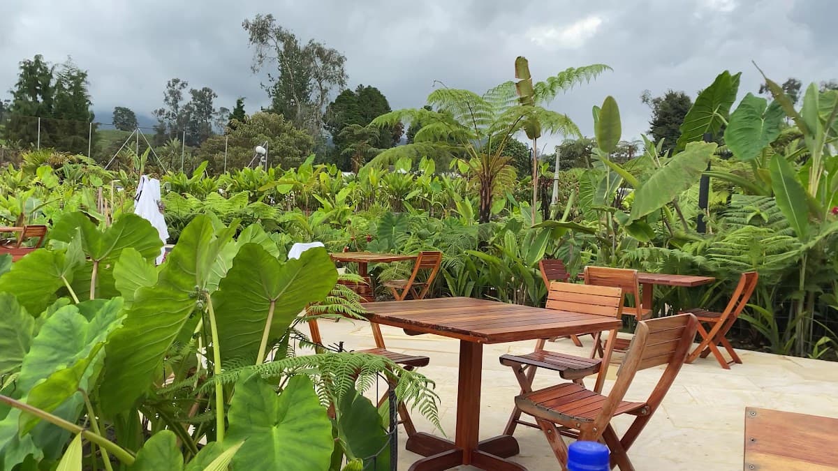 Hotel Termales El Otoño — foto