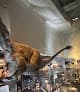 Phillip & Patricia Frost Museum of Science — foto