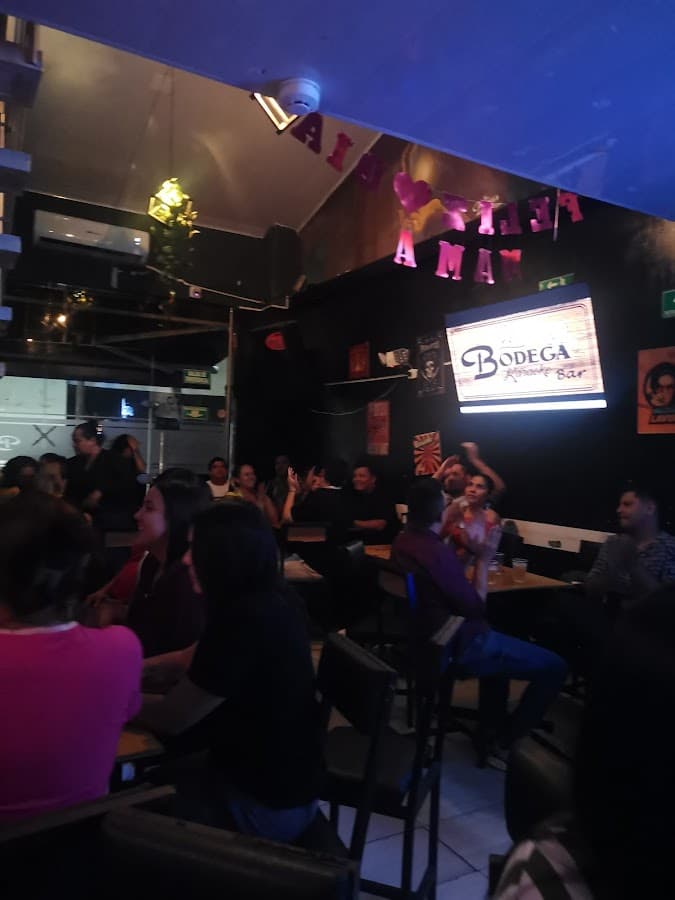 Bar Karaoke Pose