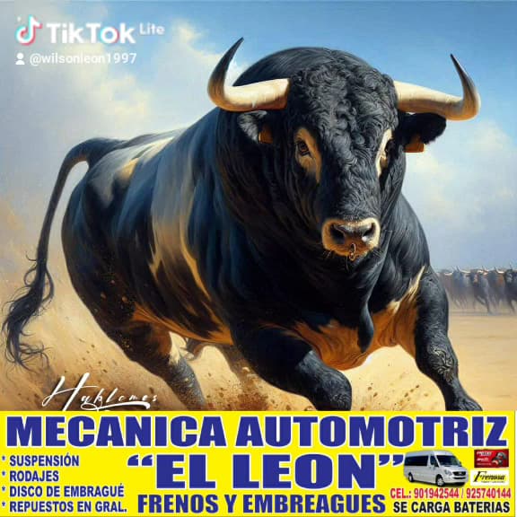 Automotriz "EL LEON"🚘🦁 — foto