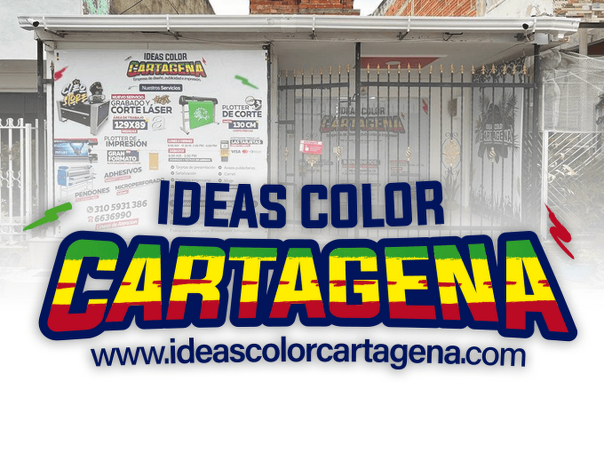Linea & Color — foto