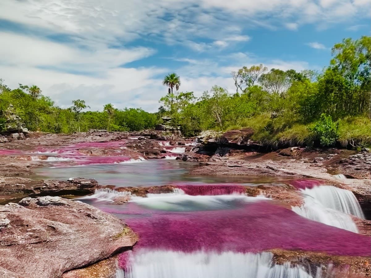Turismo Caño Cristales La Macarena — foto