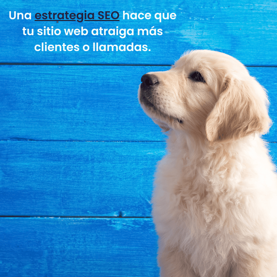 César Gómez | Marketing para empresas — foto