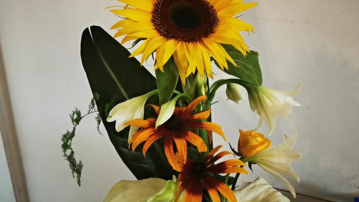 Belisima - Organización de eventos y floreria — foto