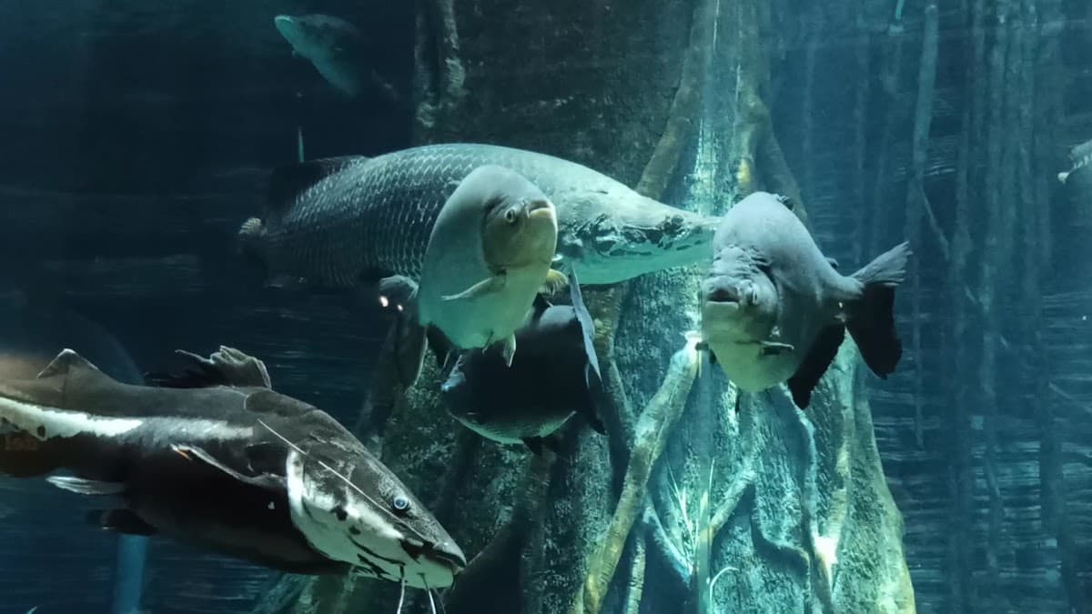 Parque Explora — foto