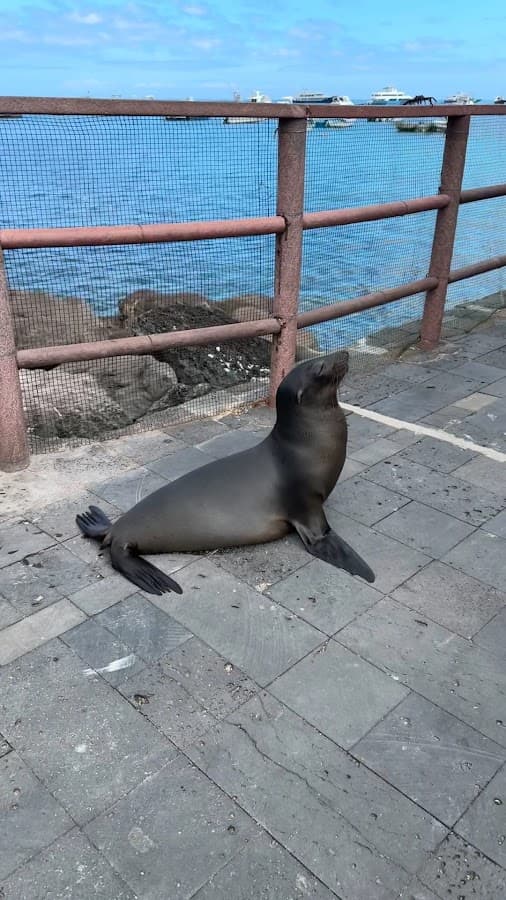Galápagos Ecuador Travel — foto