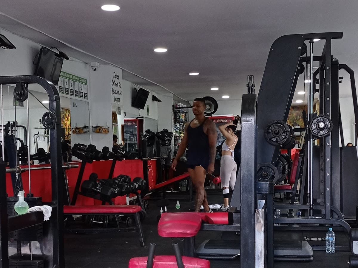 Gym Program Steps
