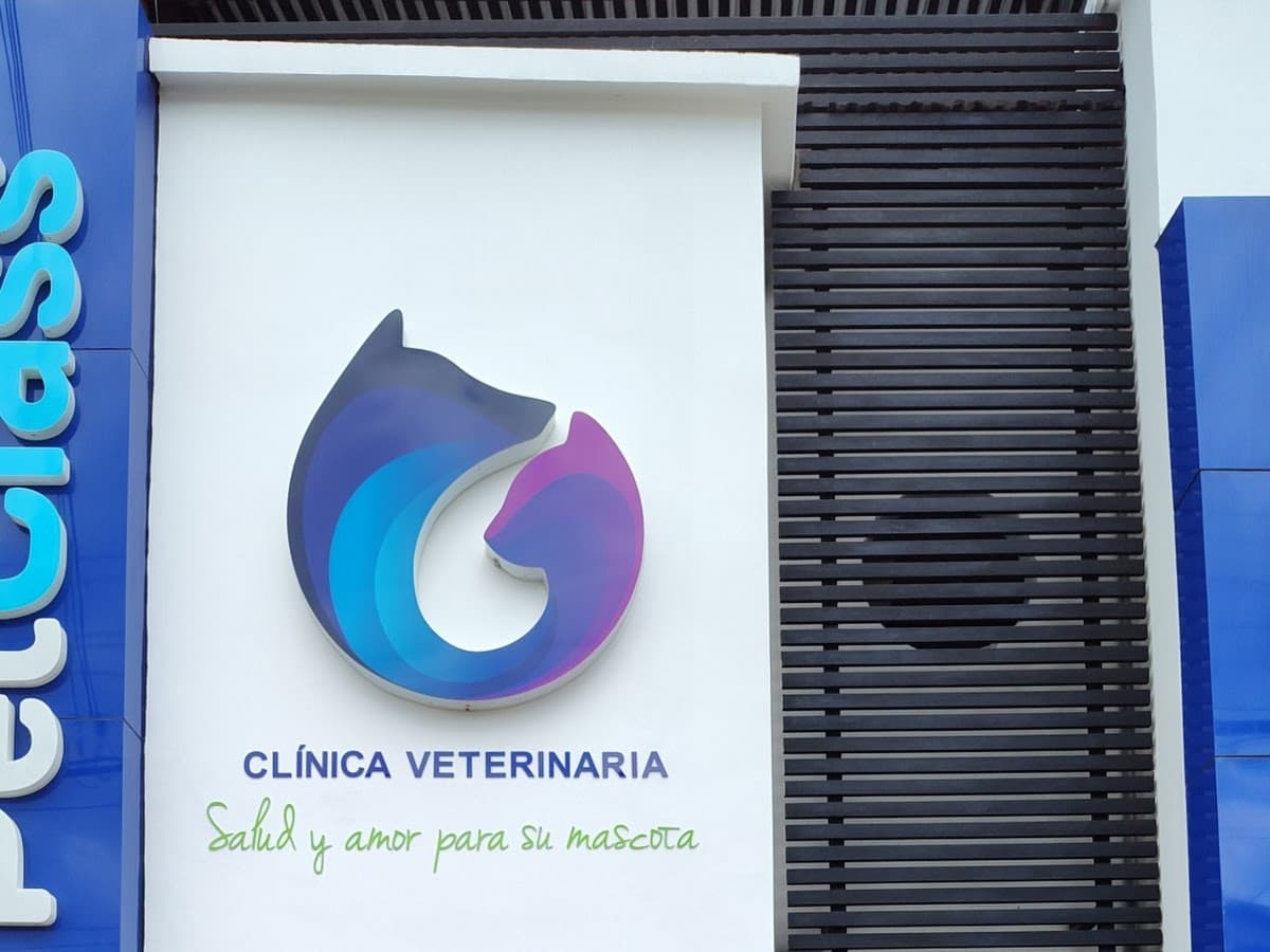 Pelos y Patas — foto