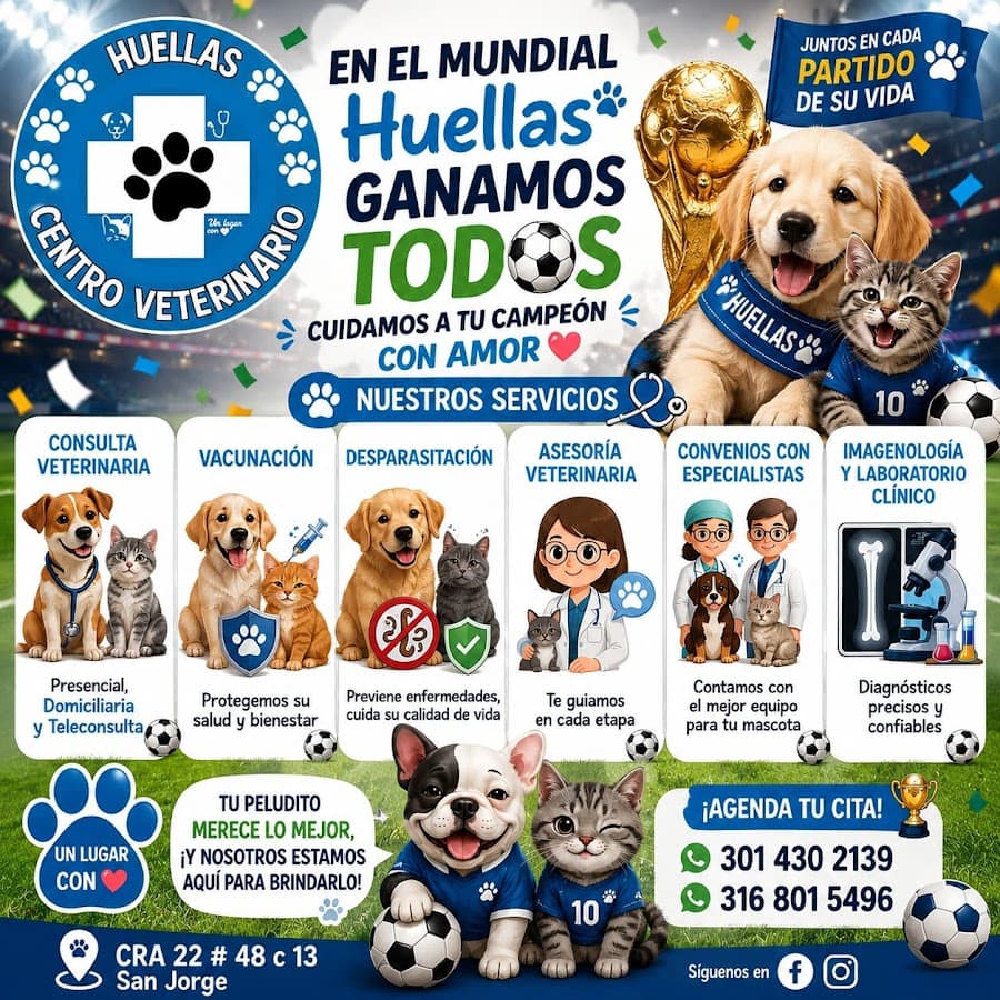 Huellas Centro Veterinario — foto