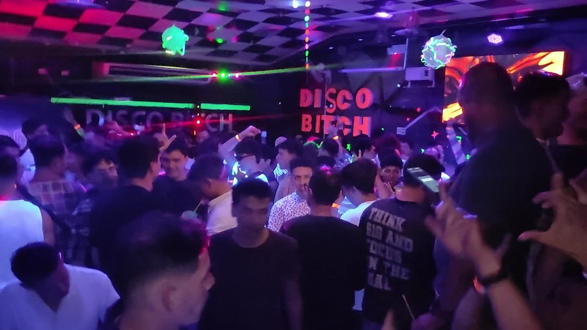 La Disco Bitch — foto