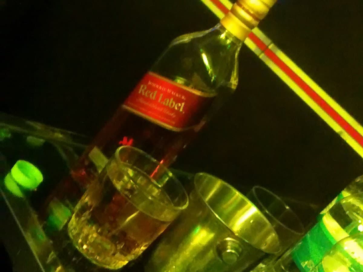 BajoZero Disco — foto
