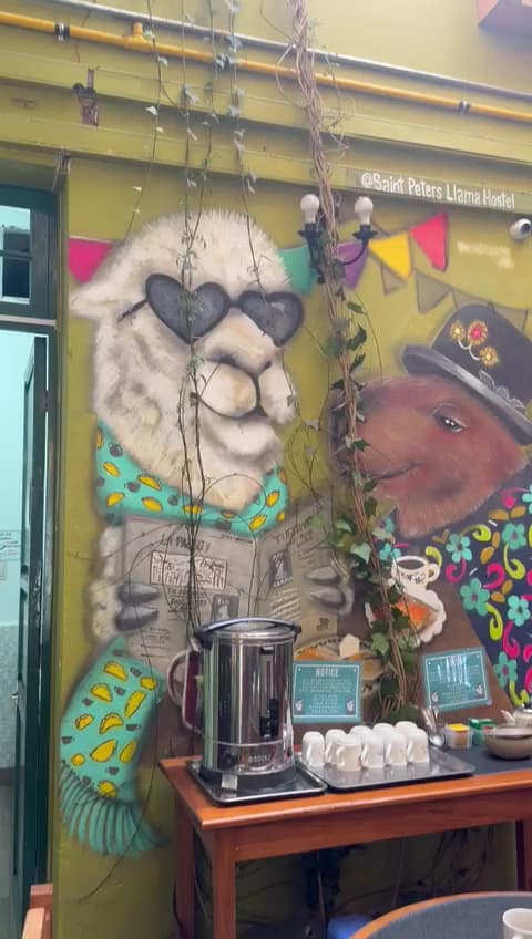 Saint Peter's Llama — foto
