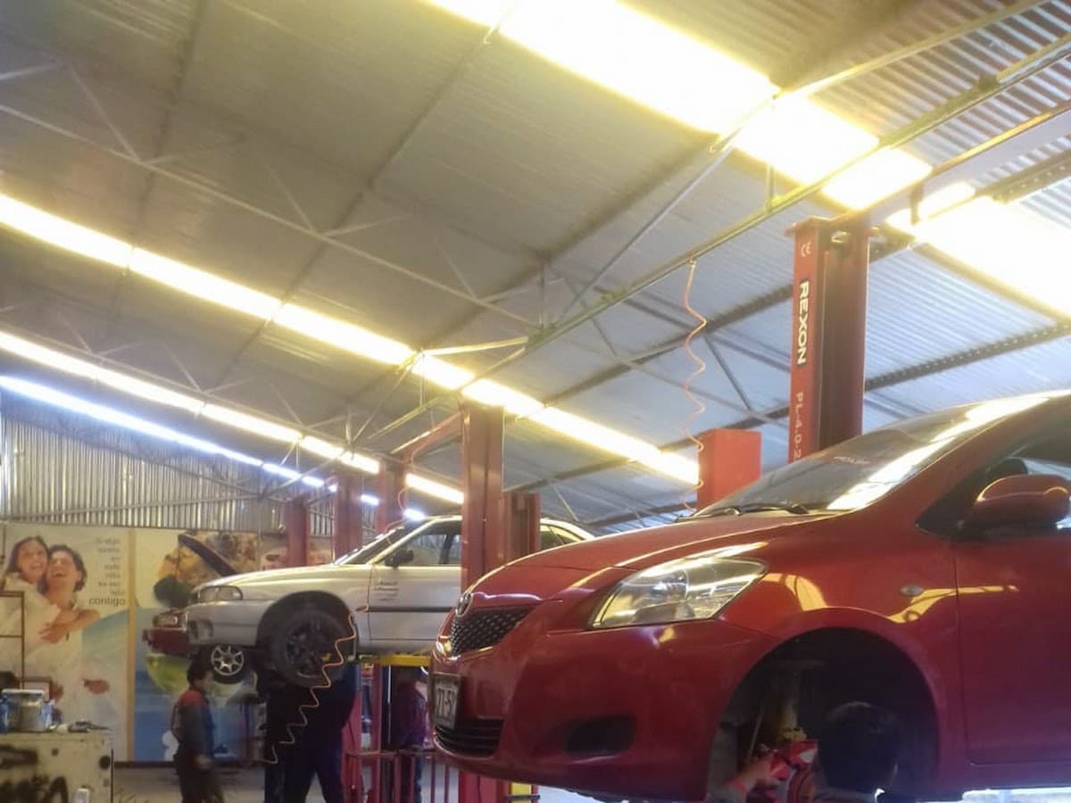 Mecánica y Gras sintetico German GLP — foto