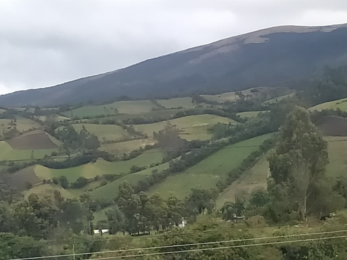 Dempos Farmacia EPS SURA — foto