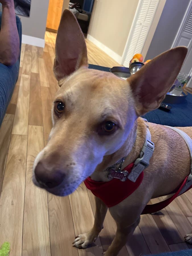 Wilton Manors Animal Hospital — foto
