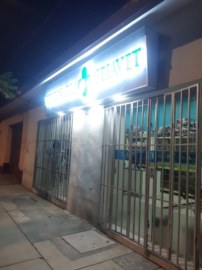 CESAVET VETERINARIA Y EMERGENCIAS