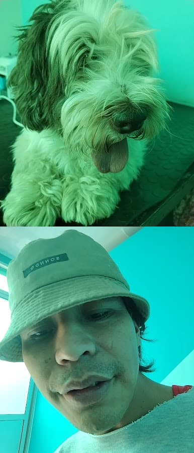 CESAVET VETERINARIA Y EMERGENCIAS — foto