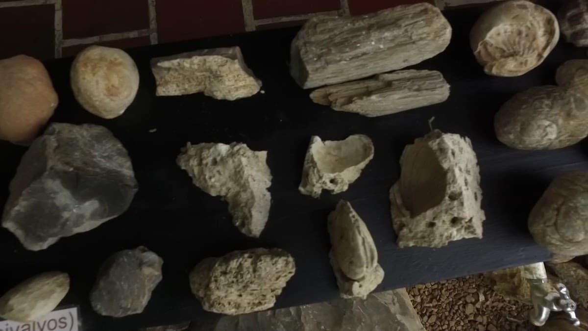 Museo Los Vados — foto
