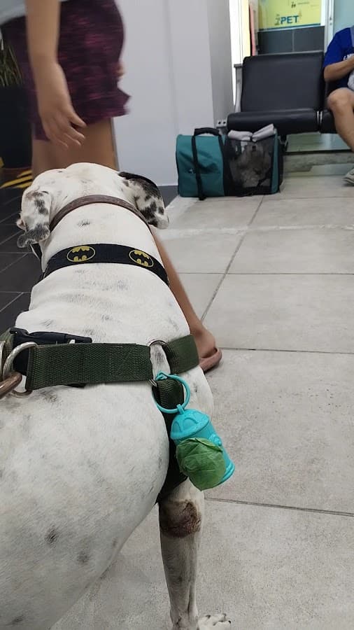 Dr. Pet-Urdesa — foto