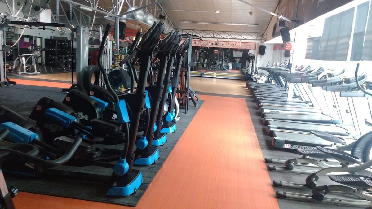 New Body Sport Club