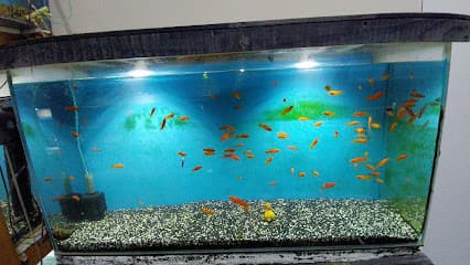 ACUARIO SAN ISIDRO - PIURA