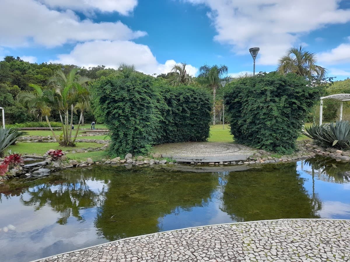 Bosque Amoraeville