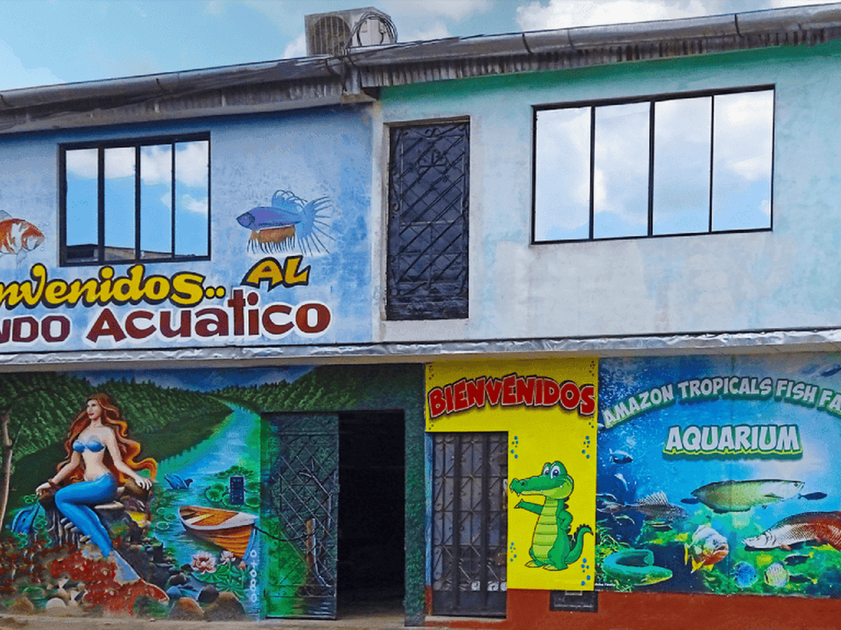 Acuario del Amazonas — foto
