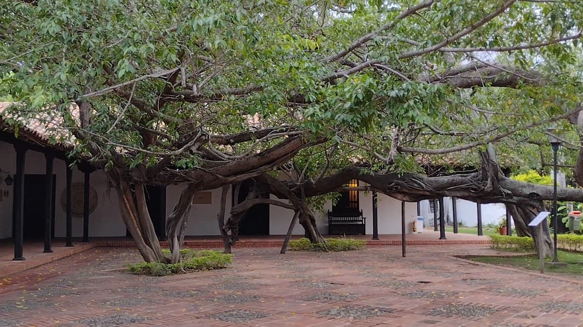Museo Casa Natal del General Francisco de Paula Santander — foto