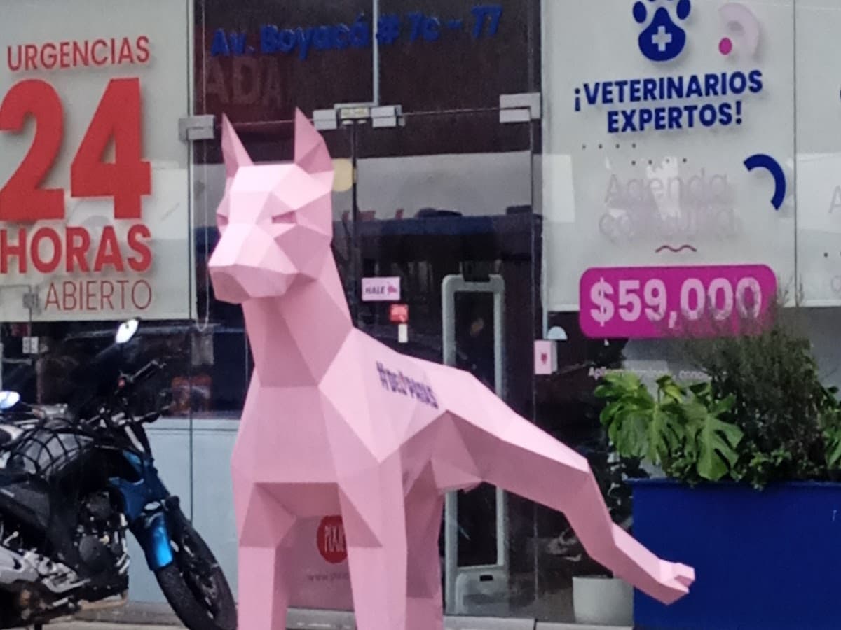 Clínica Veterinaria Movet Castilla — foto