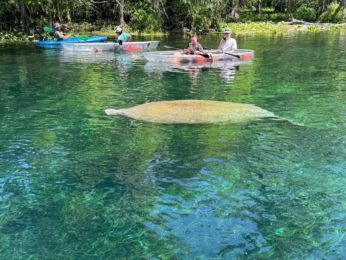 Epic Paddle Adventures