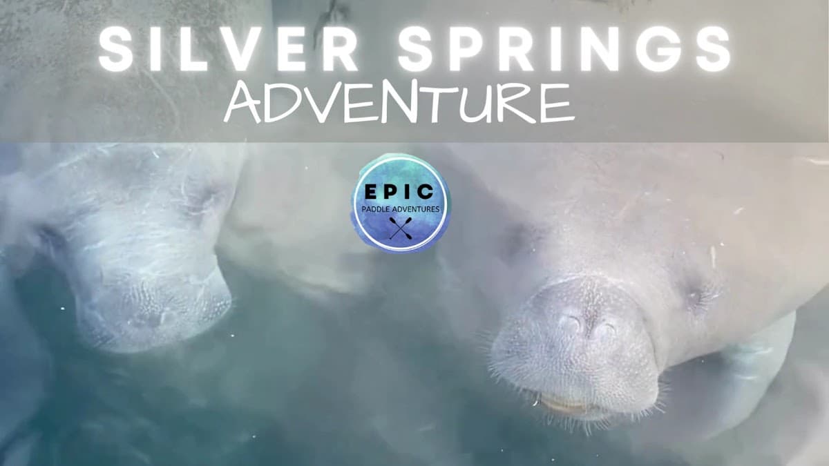 Epic Paddle Adventures — foto