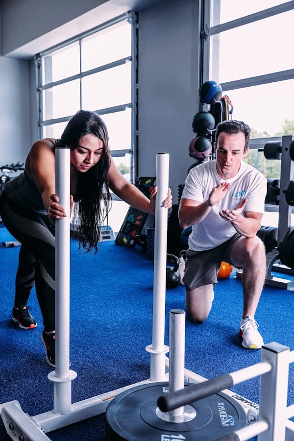 Xymogym — foto