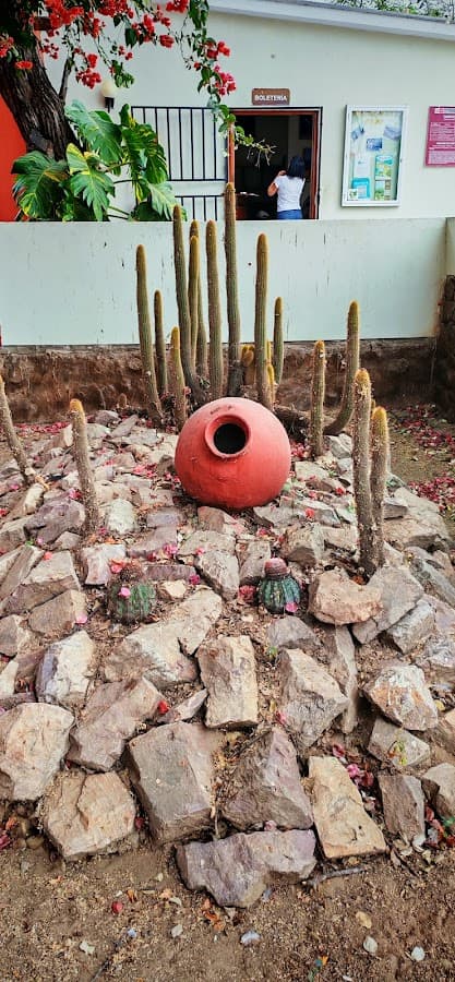 Santuario Histórico Bosque de Pómac — foto