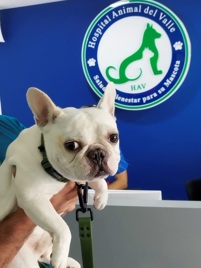 Hospital Animal Del Valle — foto