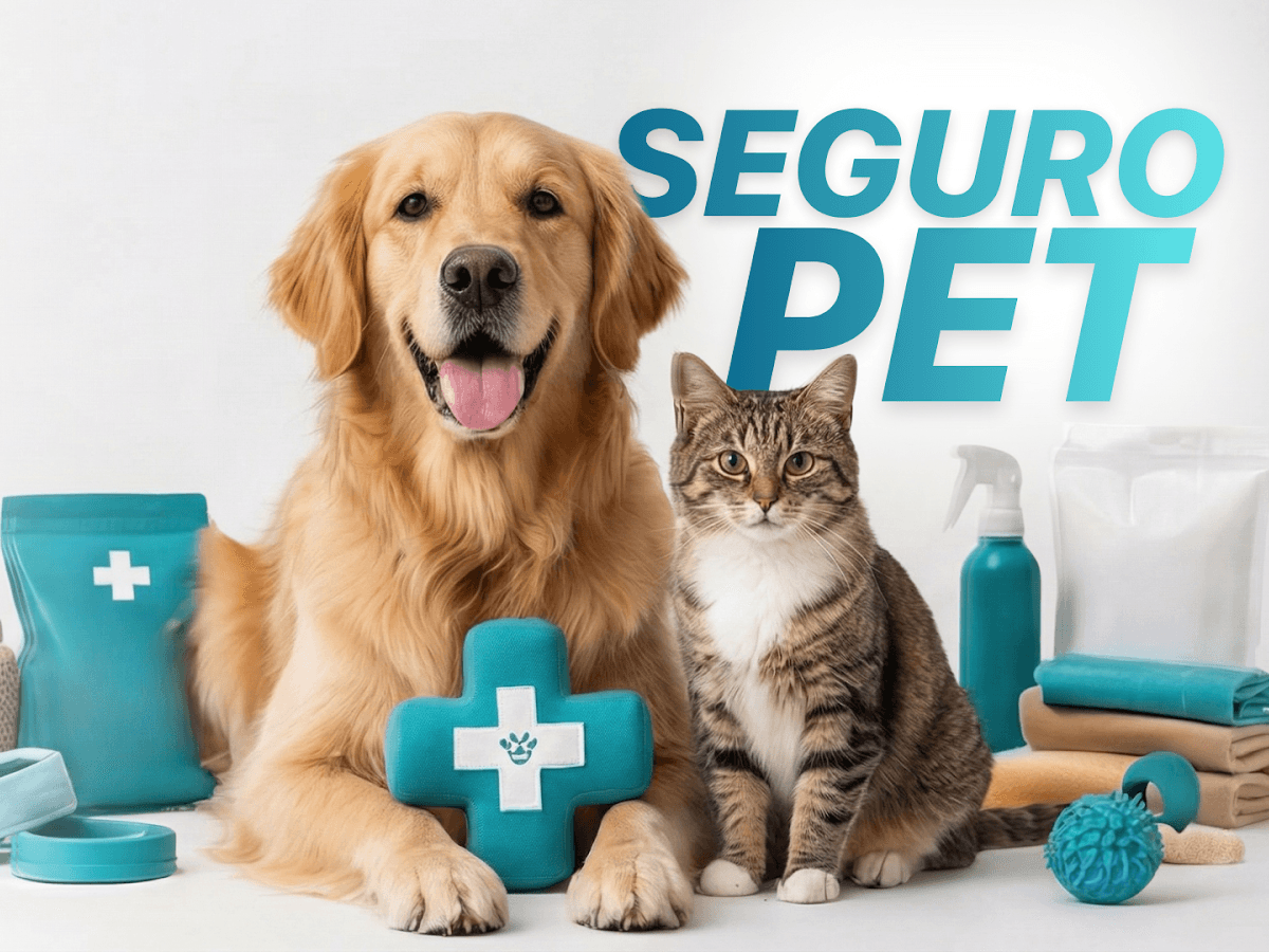 FS CONECTA PLANOS DE SAUDE, SEGUROS E CONSORCIO — foto