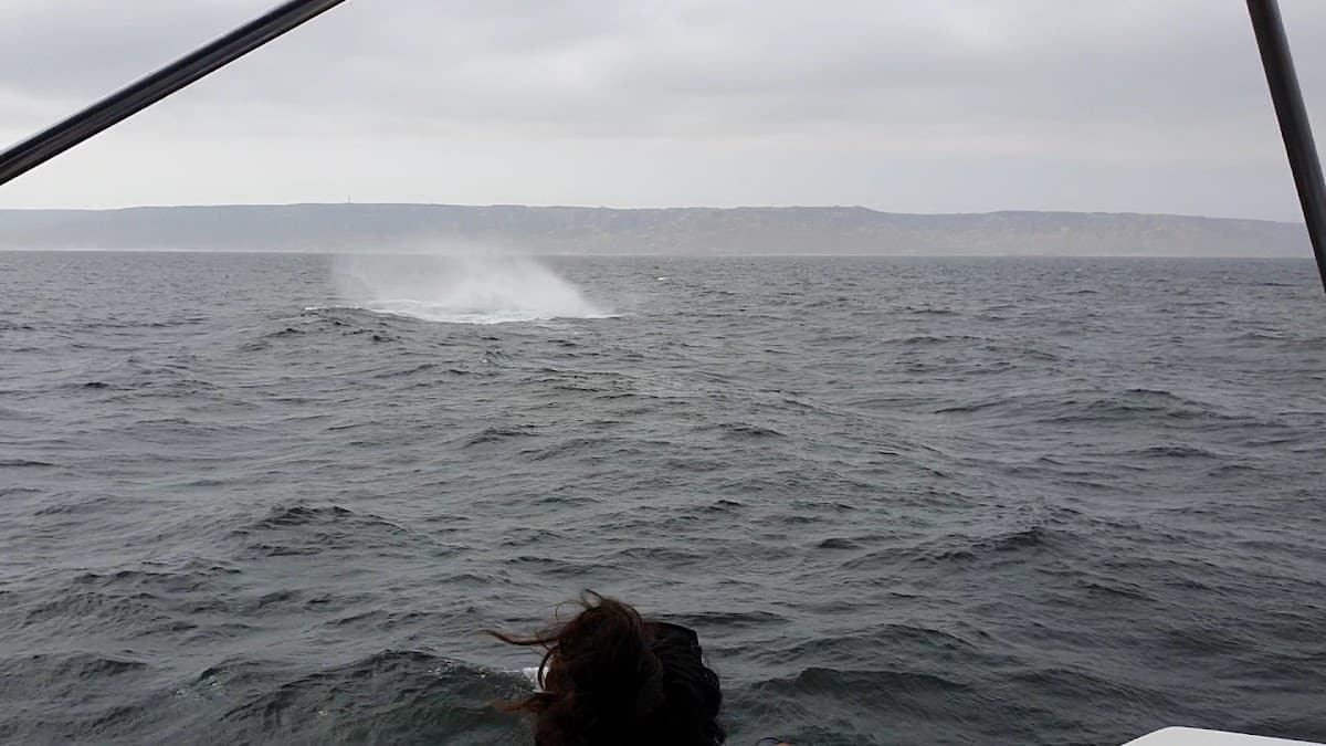 Oceanica Expeditions Peru — foto